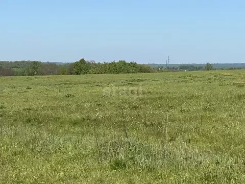 Участок в Калужская область, Перемышльский муниципальный округ, ...