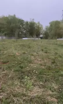 Участок в Московская область, Одинцовский городской округ, Русь СНТ 45 ...