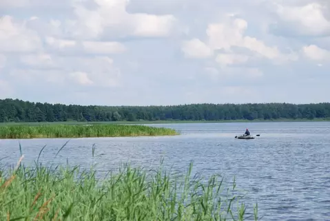 Дом в Тверская область, Конаковский муниципальный округ, д. Борцино  ...