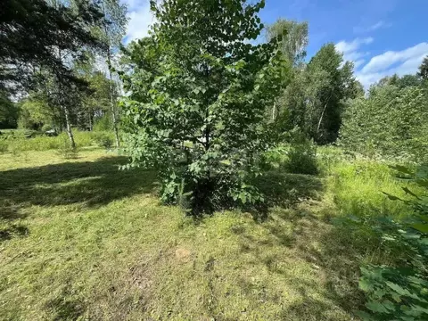 Участок в Ярославская область, Ярославский муниципальный округ, с. ...