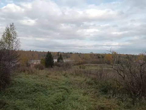 Участок в Новгородская область, Валдайский район, Ивантеевское с/пос, ...