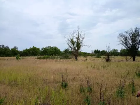 Участок в Краснодарский край, Ейск Виктория СНТ, ул. 2-я (5.0 сот.)