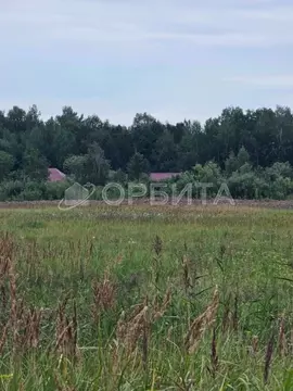 Участок в Тюменская область, Тюменский район, д. Якуши ул. Исхакый, 19 ...