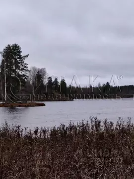 Участок в Ленинградская область, Приозерский район, Севастьяновское ...