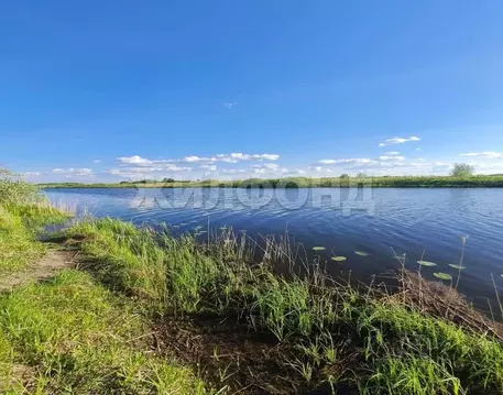 Участок в Новосибирская область, Колыванский район, Авиастроитель СНТ ...