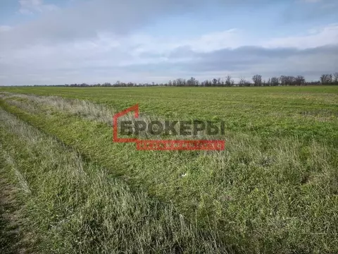 Участок в Крым, Сакский район, Ивановское с/пос, с. Жаворонки ул. ...