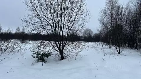 Участок в Московская область, Истра муниципальный округ, пос. ...