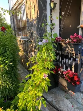 Дом в Брянская область, Брянский район, Нетьинское с/пос, Лесная ...