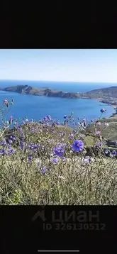 Участок в Крым, Феодосия муниципальный округ, Орджоникидзе пгт ул. ...