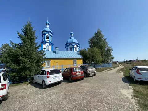 Участок в Тамбовская область, Знаменский район, с. Царевка  (15.0 ...
