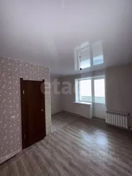 Студия Амурская область, Благовещенский район, с. Чигири Лесная ул., ...