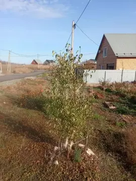 Участок в Оренбургская область, Оренбургский район, пос. Соловьевка ...