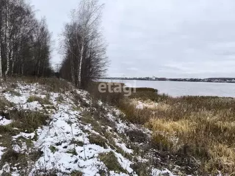 Участок в Ярославская область, Некрасовский муниципальный округ, д. ...