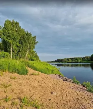 Участок в Московская область, Дмитровский муниципальный округ, пос. ...