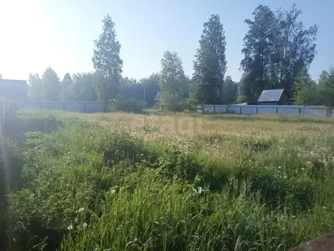 Участок в Тюменская область, Тюменский муниципальный округ, Фазенда ...