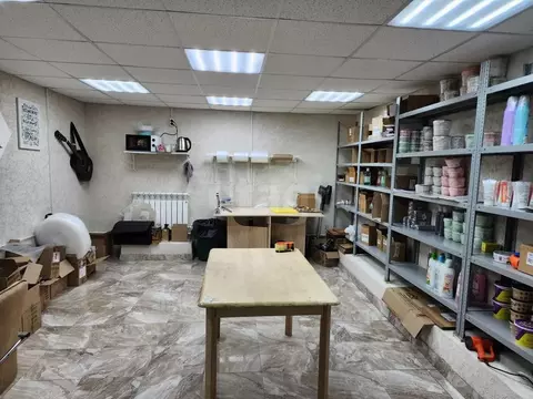 Помещение свободного назначения в Ставропольский край, Ставрополь ул. ...