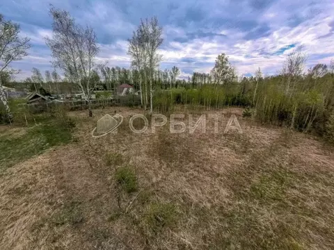 Участок в Тюменская область, Нижнетавдинский район, Сочинские СНТ 17-я ...