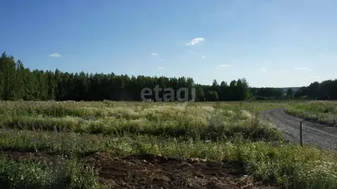 Участок в Свердловская область, Сысертский муниципальный округ, Грин ...