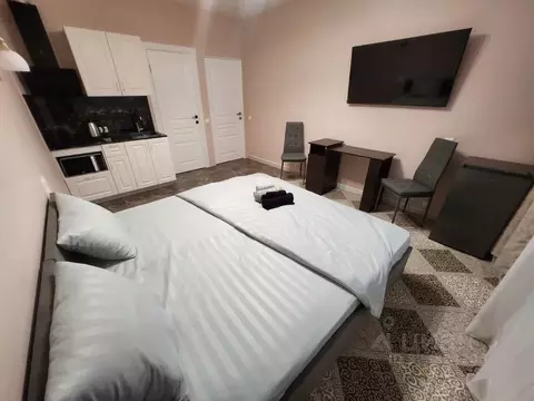 Студия Москва Перовская ул., 66к8 (20.0 м)