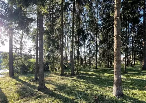 Участок в Московская область, Истра муниципальный округ, д. Чесноково, ...