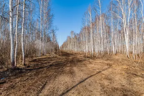 Участок в Тюменская область, Нижнетавдинский муниципальный округ, ...