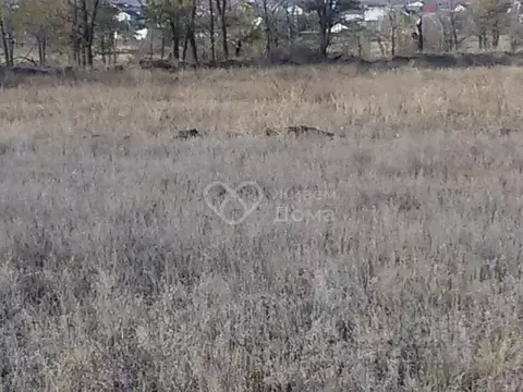 Участок в Волгоградская область, Городище рп, Есенино кп ул. Булгакова ...