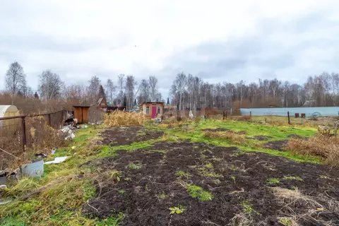 Участок в Тюменская область, Нижнетавдинский муниципальный округ, ...