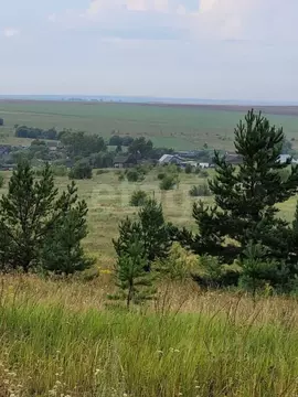 Участок в Мордовия, Кочкуровский район, с. Новая Пырма  (20.0 сот.)