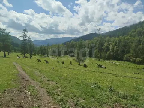 Участок в Алтай, Онгудайский район, с. Ело  (873.0 сот.)