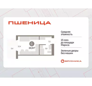 Квартира-студия: Новосибирский район, рабочий посёлок Краснообск, 3-й ...