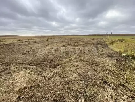 Участок в Тюменская область, Нижнетавдинский муниципальный округ, ...