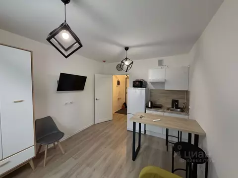 Студия Санкт-Петербург ул. Пахомовская, 18к2 (20.0 м)