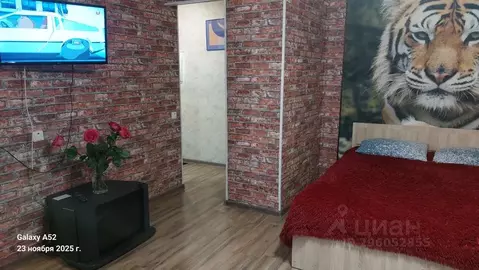 Студия Пермский край, Пермь ул. Ленина, 84 (36.0 м)