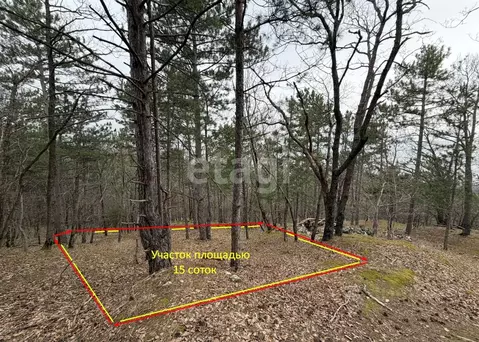 Участок в Крым, Ялта муниципальный округ, Виноградное пгт Космос Стей ...