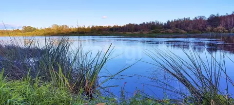 Участок в Псковская область, Псковский район, Тямшанская волость, д. ...