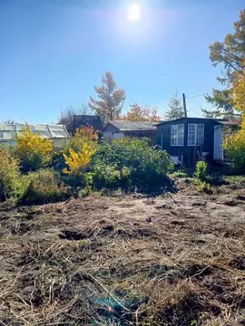 Участок в Забайкальский край, Краснокаменский муниципальный округ, ...