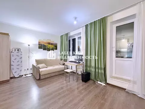 Студия Санкт-Петербург пос. Парголово, проезд Толубеевский, 20к1 (26.0 ...