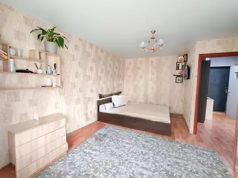 1-к кв. Московская область, Зарайск муниципальный округ, д. Мендюкино ...