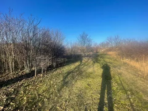 Участок в Краснодарский край, Анапа муниципальный округ, Заря хут. ул. ...