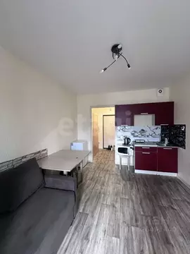 Студия Ленинградская область, Мурино Всеволожский район, бул. ...