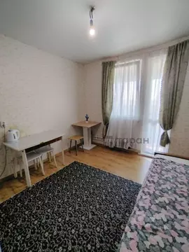 Студия Челябинская область, Сосновский муниципальный округ, Поселок ...