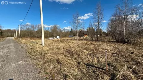Участок в Приозерский район, Кузнечнинское городское поселение, СНТ ...