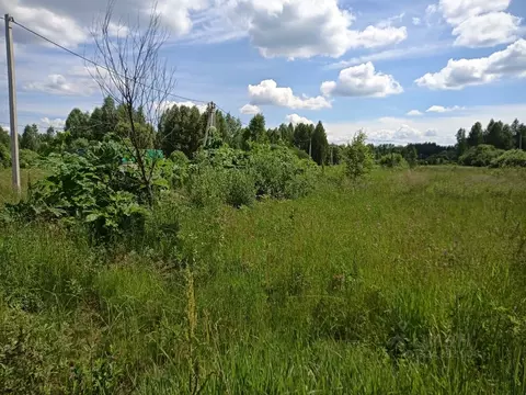 Участок в Московская область, Клин городской округ, с. Борщево  (6.0 ...