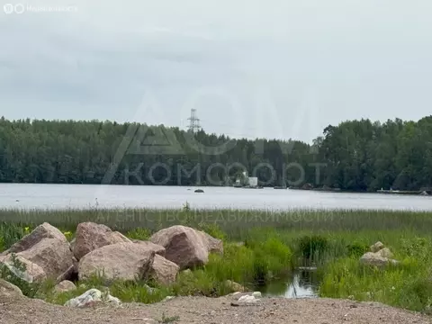 Участок в Выборг, улица Младших Командиров (10 м)