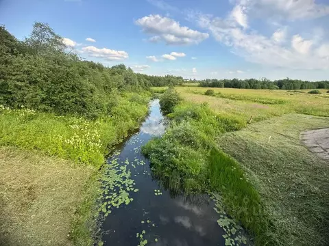 Участок в Костромская область, Красносельский район, Шолоховское ...