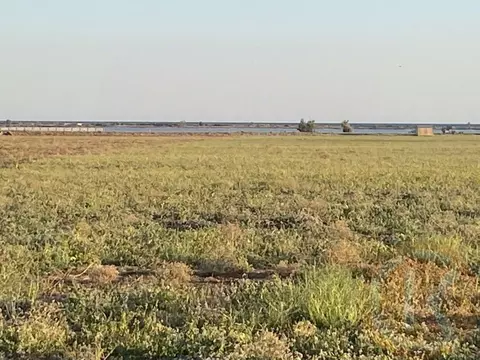 Участок в Крым, Черноморский район, с. Межводное ул. Керченская (5.0 ...