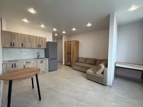 Студия Свердловская область, Екатеринбург ул. Репина, 109 (26.6 м)