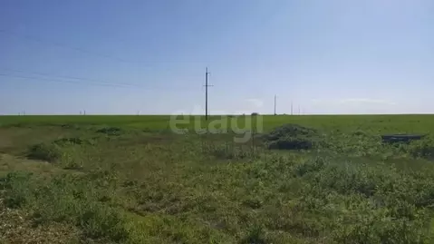 Участок в Крым, Ленинский район, с. Семисотка ул. Закияна (804.8 сот.)
