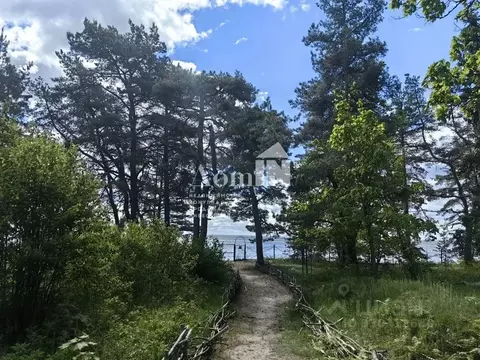Участок в Санкт-Петербург пос. Смолячково, Приморское ш., 690 (10.3 ...