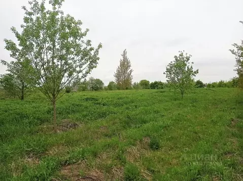 Участок в Калужская область, Перемышльский район, Гремячево с/пос, с. ...
